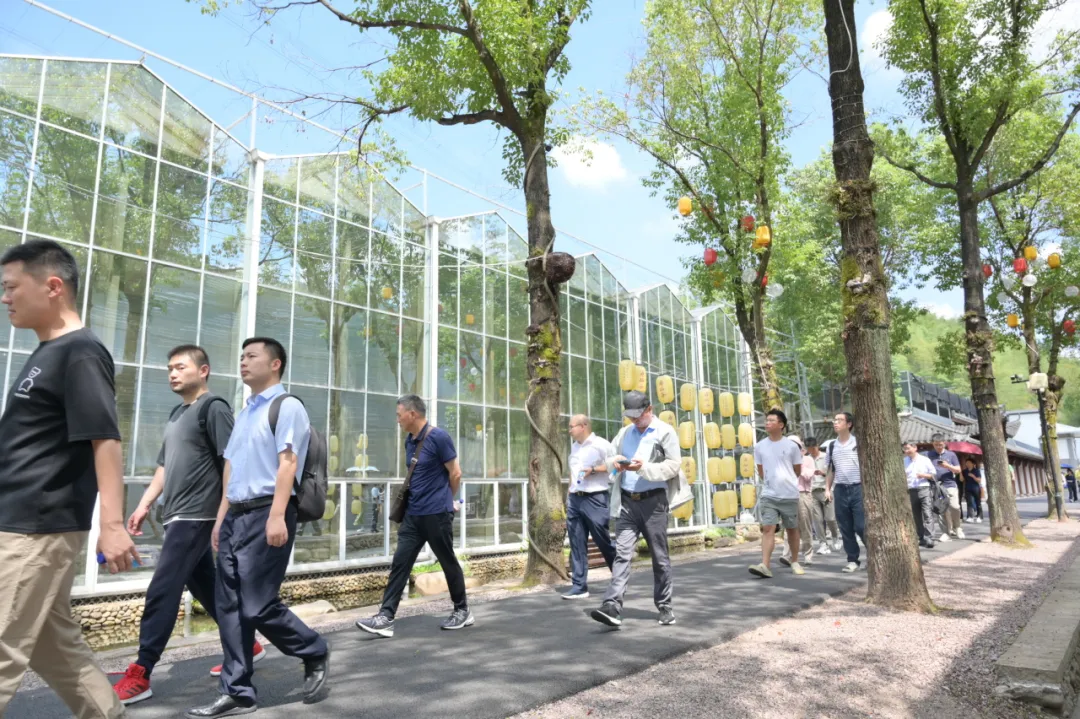 浙江尊龙凯时医药股份有限公司